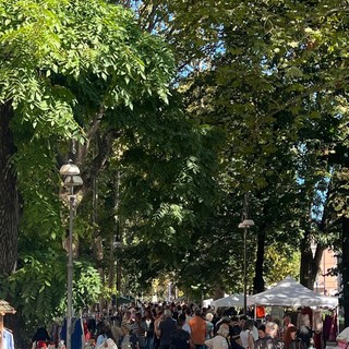 Pavia, tornano in Allea Viale Matteotti le occasioni vintage del Mercatino del Ri-Uso: domenica 20 Ottobre appuntamento con economia circolare e socialità