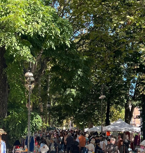 Pavia, il 1° novembre appuntamento in allea viale Matteotti con le occasioni vintage del mercatino del ri-uso