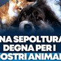 Una degna sepoltura per i nostri amici a quattro zampe. A Corbetta ora si può