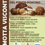 Motta Visconti, sagra del fungo porcino dal 20 al 22 settembre