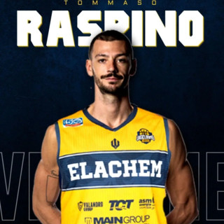 Basket serie A2, Tommaso Raspino è un nuovo giocatore di Vigevano 1955