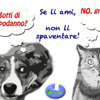 “No ai botti, SI’ ai biscotti”, appello dell’associazione Gaia e decalogo antibotti per cani e gatti