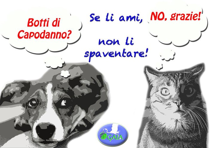 “No ai botti, SI’ ai biscotti”, appello dell’associazione Gaia e decalogo antibotti per cani e gatti