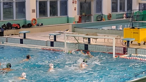 Pallanuoto, tris di vittorie per le squadre dell'H2Sport Vigevano