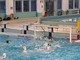 Pallanuoto, tris di vittorie per le squadre dell'H2Sport Vigevano