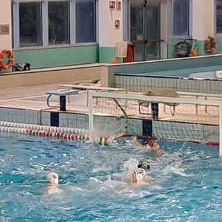 Pallanuoto, tris di vittorie per le squadre dell'H2Sport Vigevano