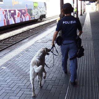 Stazioni Sicure: aderisce anche il comune di Pavia