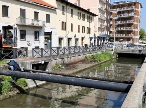 Vigevano, Gesto da libro Cuore di una ragazza 22enne: si tuffa nel canale per cercare di salvare un cagnolino