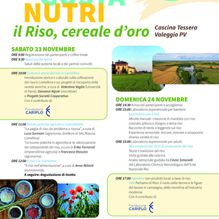 “Scopri, gusta, nutri”: due giorni di eventi per scoprire la cultura del riso in Lomellina