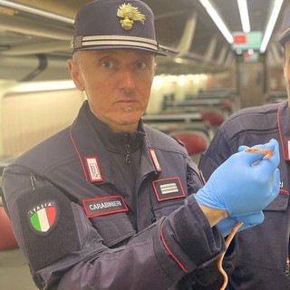 Serpente sul Frecciarossa diretto a Milano: panico tra i passeggeri, treno evacuato