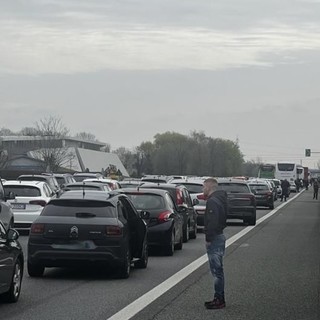 FOTO. Traffico in tilt in A8 dopo l'incidente, automobilisti bloccati: «Aspettiamo da quasi due ore»