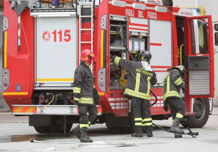 Mezzanino: vitello cade nel Po, salvato dai Vigili del fuoco