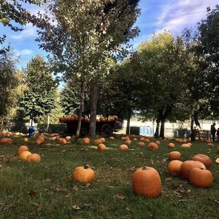 Al Villaggio delle Zucche la Magia di Halloween nel nome di Jack O’Lantern