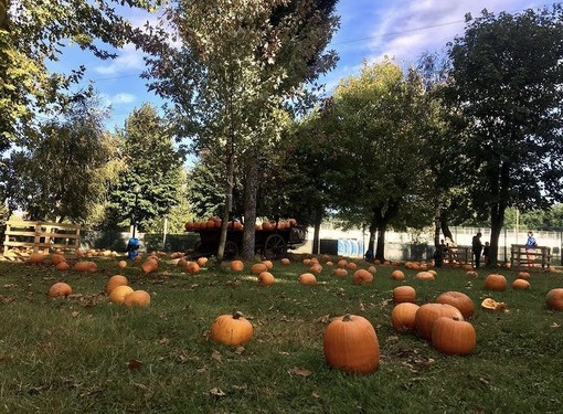 Al Villaggio delle Zucche la Magia di Halloween nel nome di Jack O’Lantern