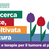 21 novembre giornata internazionale contro il tumore al pancreas, le iniziative dell'Humanitas di Rozzano