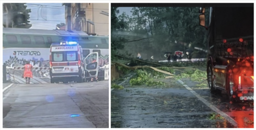 L'auto distrutta dal crollo di un albero davanti all'Esselunga di viale Borri a Varese. Sotto nella prima foto della gallery: a sinistra le lamiere cadute sulla ferrovia in via Bainsizza (foto Michael Balzano da NaturalMeteo), a destra alberi caduti in strada in Valganna (foto di Valeria Brugnoni da Facebook). Sempre in gallery i danni del maltempo in diverse zone di Varese e della provincia