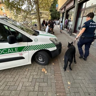 Abbiategrasso, anche le unità cinofile impegnate nell’operazione anti droga per le vie della città