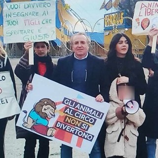 Novara, la protesta della piccola Olivia (5 anni): via gli animali dal circo