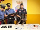 Rozzano: 500 dosi di &quot;coca&quot; al giorno, nove arresti