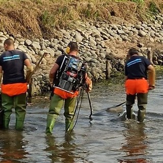 Ambiente. Pavia: prosegue la tutela della fauna ittica