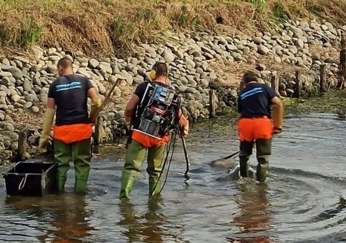 Ambiente. Pavia: prosegue la tutela della fauna ittica