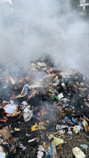 Abbiategrasso, pile conferite erroneamente in un compattatore della carta che prende fuoco. Il presidente Bonasegale: “Più” senso civico e attenzione da parte della cittadinanza per la salvaguardia del nostro eco-sistema”