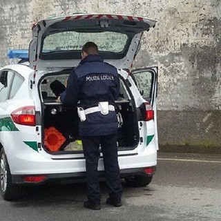 Boffalora sopra Ticino: denunciata due volte per furto nel giro di pochi giorni