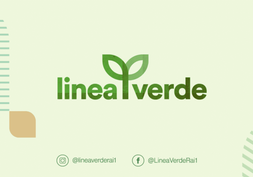 Linea Verde: domenica 6 su Rai Uno lungo le vie del riso lomelline (e del Parco Ticino)