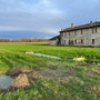 Marcite, risorgive e fontanili: il valore dell’acqua nel Parco del Ticino