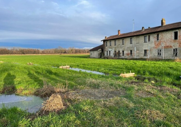 Marcite, risorgive e fontanili: il valore dell’acqua nel Parco del Ticino