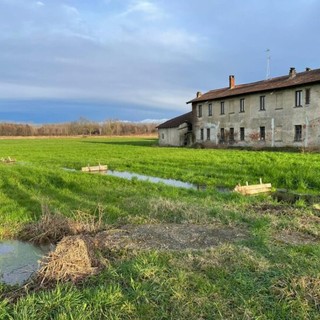 Marcite, risorgive e fontanili: il valore dell’acqua nel Parco del Ticino