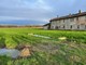 Marcite, risorgive e fontanili: il valore dell’acqua nel Parco del Ticino