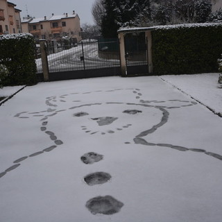 (Foto P.Valisa - Centro Geofisico Prealpino)