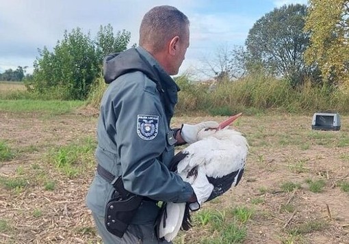 Nucleo Ittico Venatorio della Città metropolitana di Milano: 200 interventi, messo in salvo circa 150 animali