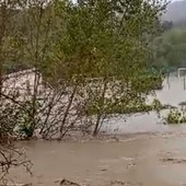 MALTEMPO IN LIGURIA/2. Il Bormida esonda e invade lo stadio (video)