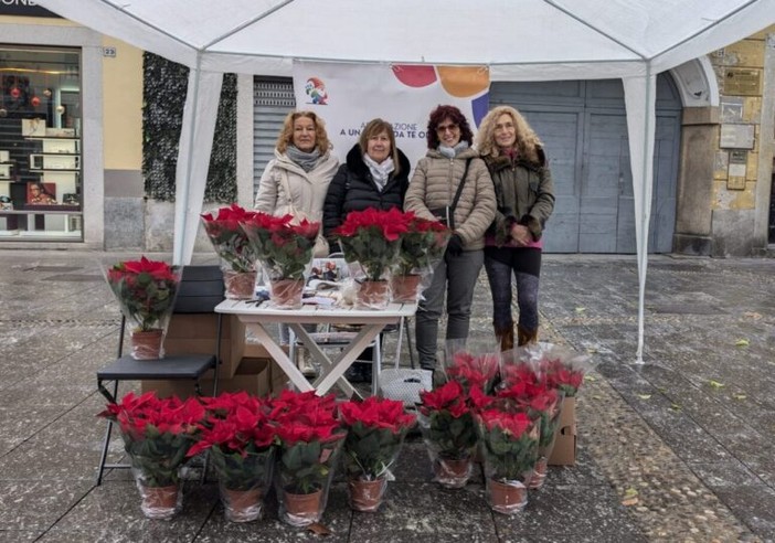 Magenta: &quot;A un passo da te&quot;, la neonata associazione in piazza con le stelle di Natale per sostenere le persone diveramente abili