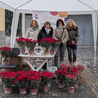 Magenta: &quot;A un passo da te&quot;, la neonata associazione in piazza con le stelle di Natale per sostenere le persone diveramente abili