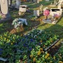 Centoventi viole per il cimitero dei bambini a Magenta, da Jessica, Miriam, Natascia e Sara