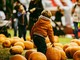 Il saluto del Villaggio: il pumpkin patch alle porte di Pavia si congeda, arrivederci al 2025