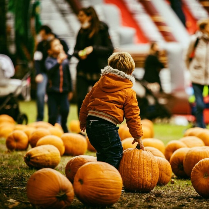 Profumi d’autunno: al Villaggio delle Zucche (San Martino Siccomario) un fine settimana che celebra colori e sapori di stagione